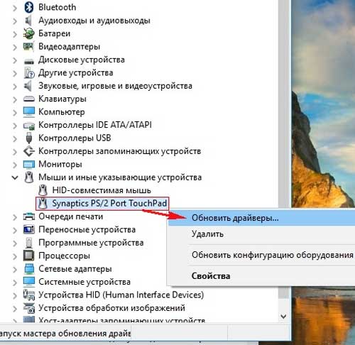 Не работает тачпад после установки Windows 10: как разобраться с проблемкой