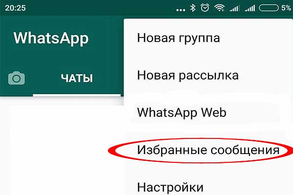 Как сохранить одно сообщение в WhatsApp без скриншотов и истории чатов