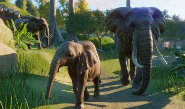 Проблемы Planet Zoo на ПК: вылетает, падает FPS, перегружает проц, черный экран