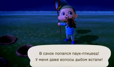 Первый миллион диней в Animal Crossing New Horizons — фармим на пауках!