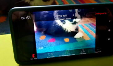 Как перекинуть конференцию Zoom с компа на смартфон и управлять удалённо