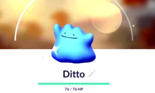 Season of Mischief: где и как ловить Дитто и Shiny Ditto