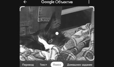 Поиск по картинке с текстовыми уточнениями в Google Объективе: как это делается