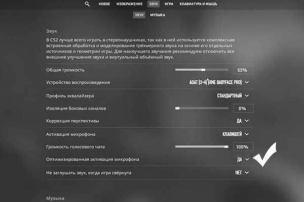  Если микрофон в CS2 глючит или вообще не работает